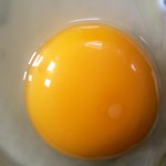 realizando dieta do ovo